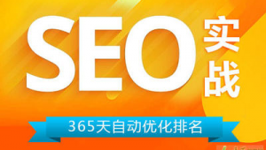 上海网络推广seo