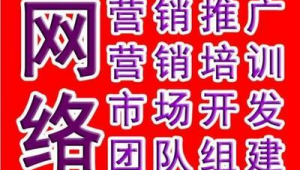 潍坊网络推广怎么做-网友赵德柱的博客