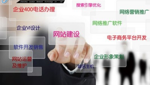 电商行业网络推广软件-网友赵德柱的博客