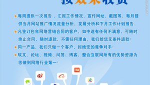 网络营销推广报告-网友赵德柱的博客