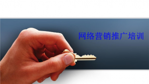 如何进行网络推广营销