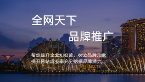 新产品怎么做网络推广-网友赵德柱的博客