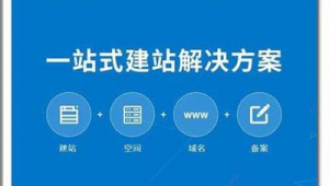 深圳龙岗网络推广招聘-网友赵德柱的博客