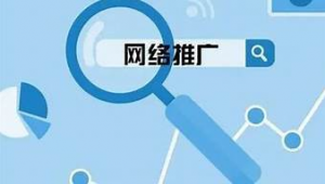 想学网络推广引流-网友赵德柱的博客