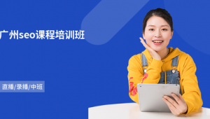 企业网络推广课程-网友赵德柱的博客