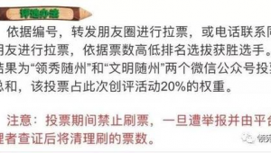 随州网络推广推荐-网友赵德柱的博客