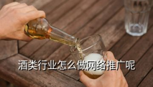 白酒网络推广怎么做-网友赵德柱的博客