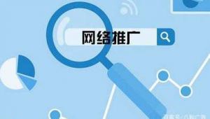 如果做好网络推广-网友赵德柱的博客