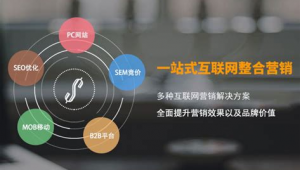 深圳网络整合营销推广-网友赵德柱的博客