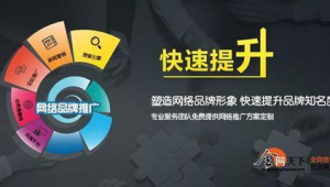企业网络品牌推广-网友赵德柱的博客
