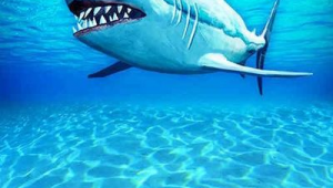 网络推广营销公司赚钱-网友赵德柱的博客