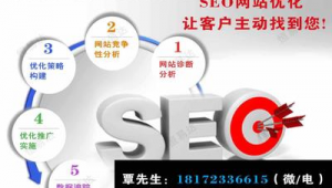 seo网络推广介绍-网友赵德柱的博客