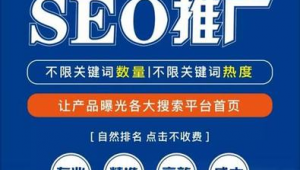 seo网络推广教程seo顾问-网友赵德柱的博客