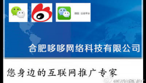 合肥网络推广专家-网友赵德柱的博客