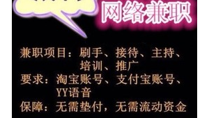 网络推广兼职还是全职-网友赵德柱的博客