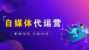 自媒体代发布-网友赵德柱的博客