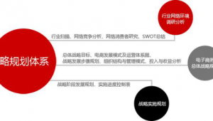 品牌网络推广工作计划-网友赵德柱的博客