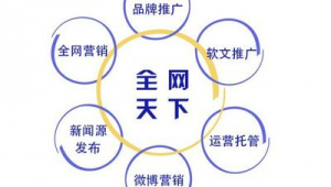 网络软文推广过程-网友赵德柱的博客