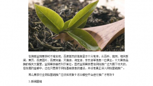 黑茶品牌怎么做网络推广-网友赵德柱的博客