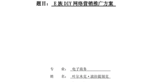 网络营销推广方案毕业设计-网友赵德柱的博客