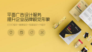 包装网站网络推广