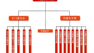 泰安网络推广组织架构