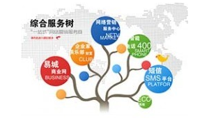 武昌网络推广-网友赵德柱的博客