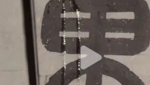 青蜂侠自媒体-网友赵德柱的博客