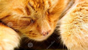 项目网络推广有哪些-网友赵德柱的博客