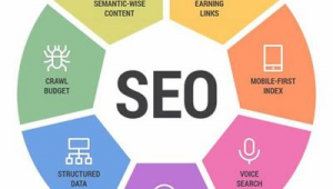 高新区seo网络推广教程-网友赵德柱的博客