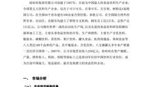 娃哈哈网络推广论文-网友赵德柱的博客