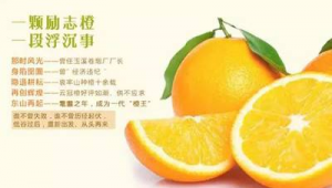 褚橙的网络推广文案-网友赵德柱的博客