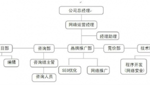 网络推广部组织架构