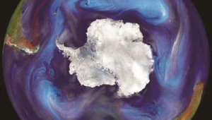 网络推广个人感受-网友赵德柱的博客