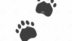 推广网络公司介绍-网友赵德柱的博客