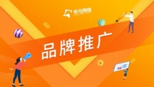 品牌推广 布马网络-网友赵德柱的博客