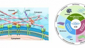 网络营销推广与收益不成正比-网友赵德柱的博客