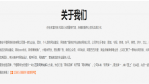 泰安市网络推广