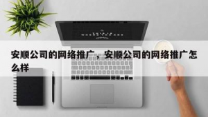 安顺市网络推广