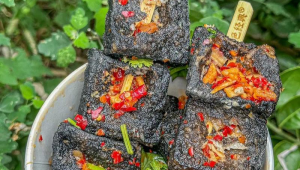 长沙臭豆腐网络推广-网友赵德柱的博客