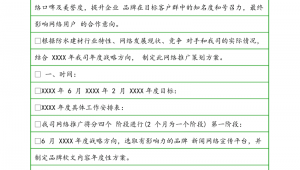 网络推广年度计划书-网友赵德柱的博客