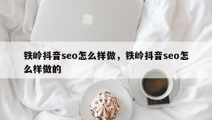 铁岭市SEO