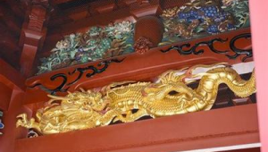 赤水网络推广-网友赵德柱的博客