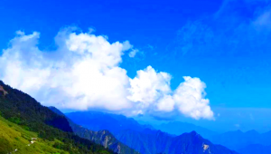 神农架网络推广公司-网友赵德柱的博客