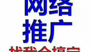 网络推广找我-网友赵德柱的博客