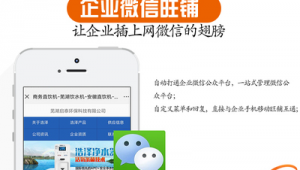 安徽网络营销推广-网友赵德柱的博客