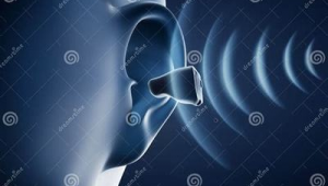 品质网络推广内容-网友赵德柱的博客