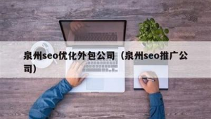 泉州seo优化网络推广-网友赵德柱的博客