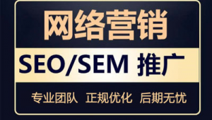 semseo是网络推广吗-网友赵德柱的博客