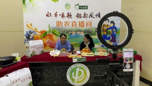 平果网络推广公司-网友赵德柱的博客